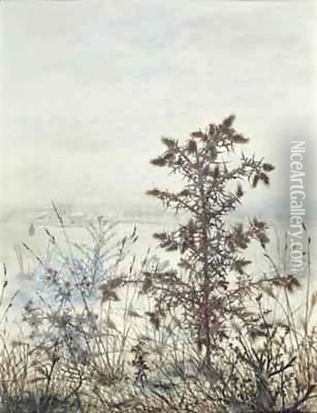 Thistles and Weeds Oil Painting - Leon Bonvin