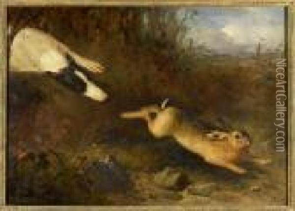 Greyhound In Pursuit Of A Hare Oil Painting - Thomas Woodward
