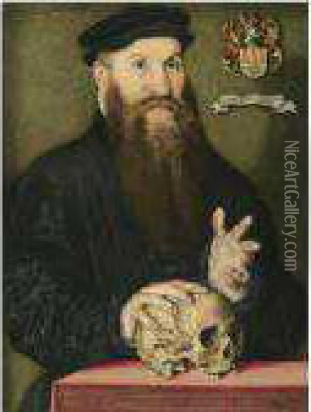 Portrait Of A Bearded Gentleman Oil Painting - Jan Cornelisz Vermeyen