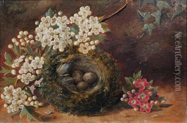 Bird's Nest And Blossom Oil Painting - R Catstree