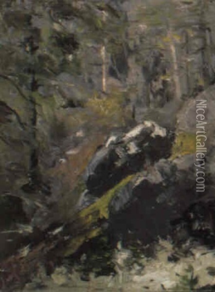 The Grey Woods Oil Painting - Robert Henri