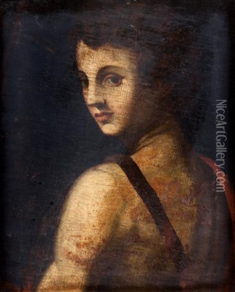 Saint Jean Baptiste Oil Painting -  Pontormo