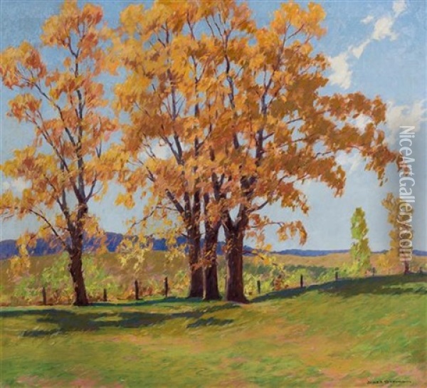 Autumn Sunlight Oil Painting - James Topping