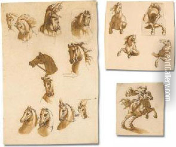 A Series Of Studies Of Horses After Italian And Antique Prototypes Oil Painting - Johannes Episcopius