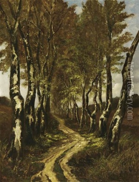 Birkenallee Oil Painting - Carel Nicolaas Storm van 's-Gravensande