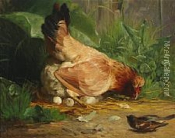 A Hen Guarding Her Eggs Oil Painting - Adolf Heinrich Mackeprang