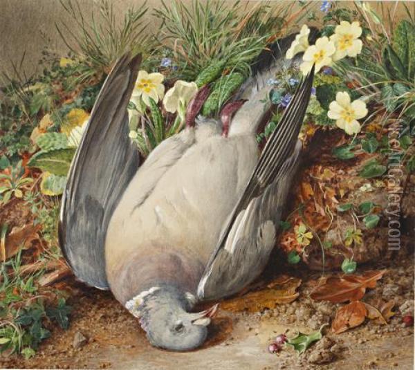 Pigeon On A Primrose Bank Oil Painting - William Henry Hunt
