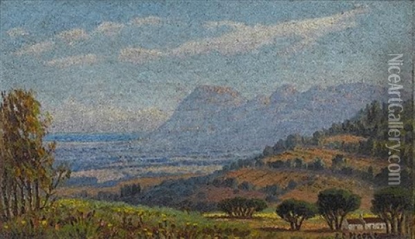 View From Constantia Looking Towards Muizenberg & False Bay Oil Painting - Edward Charles Moore