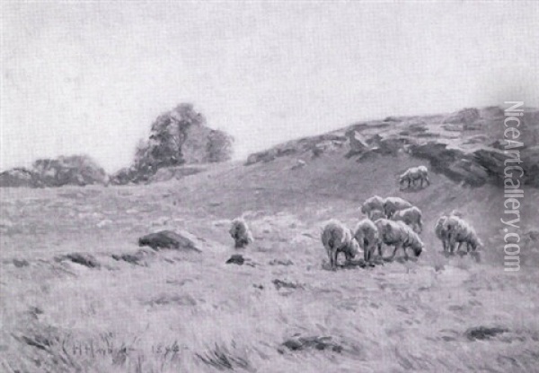 Sheep Pasture Oil Painting - Charles Henry Hayden