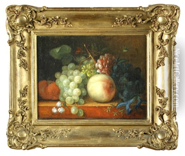 Still Life Of Peaches, Grapes And An Apple On A Ledge Oil Painting - Elisabeth Johanna Koning