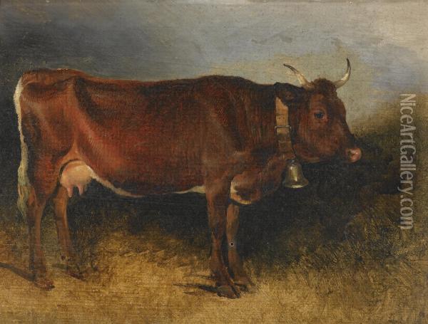 A Prize Cow Oil Painting - Friedrich Gauermann