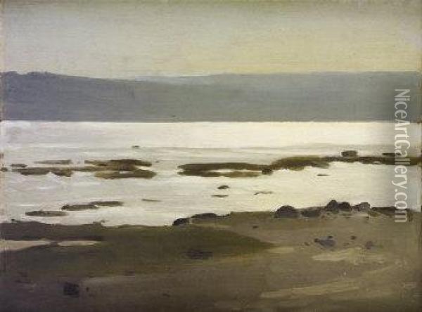 Estuary At Low Tide Oil Painting - Sarah Cecilia Harrison