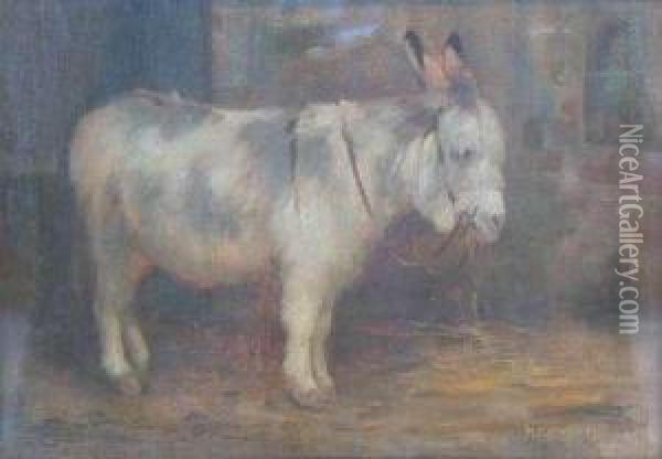 Donkey Oil Painting - William Stewart MacGeorge