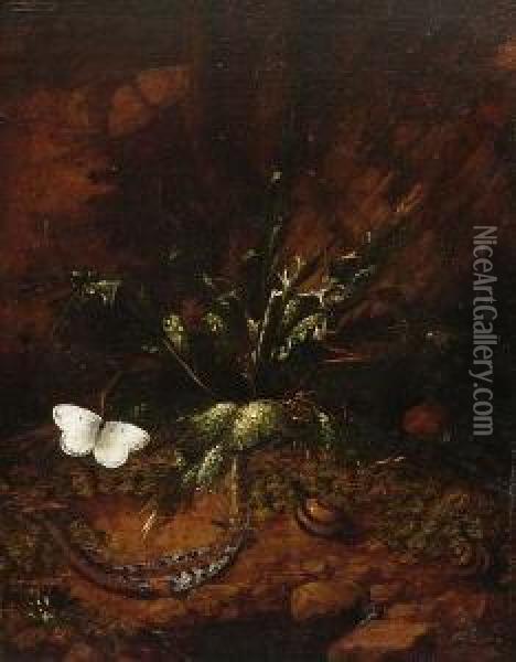 Waldstucke Mit Reptilien Und Schmetterlingen. Oil Painting - Otto Marseus Snuff. Van Schrieck