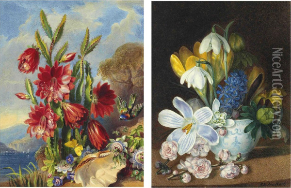 A Bird, Butterfly And A Shell Beside A Flowering Cactus And Passionflowers Oil Painting - Valentine Bartholomew