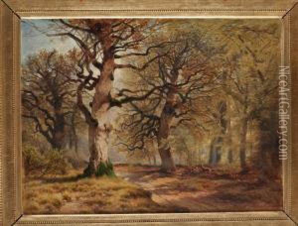 Waldlandschaft Oil Painting - August Schaeffer von Wienwald