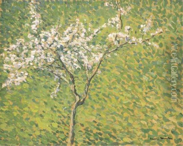 Cerisier En Fleur Oil Painting - Henri Martin