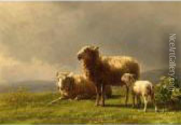 Sheep In A Meadow Oil Painting - Jan Bedijs Tom