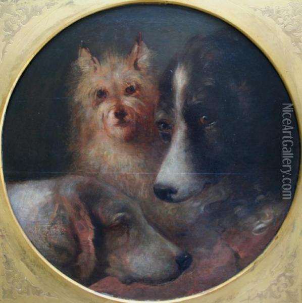 Study Of Three Dogs' Heads Oil Painting - Edwin Frederick Holt