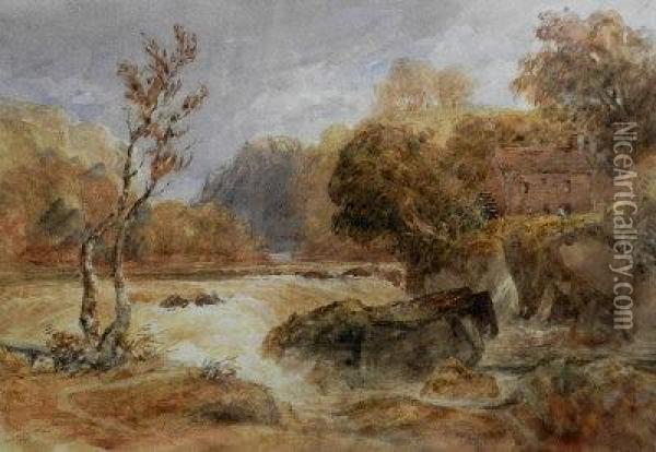 Cenarth Falls On The River Teifi, Cardiganshire Oil Painting - David I Cox