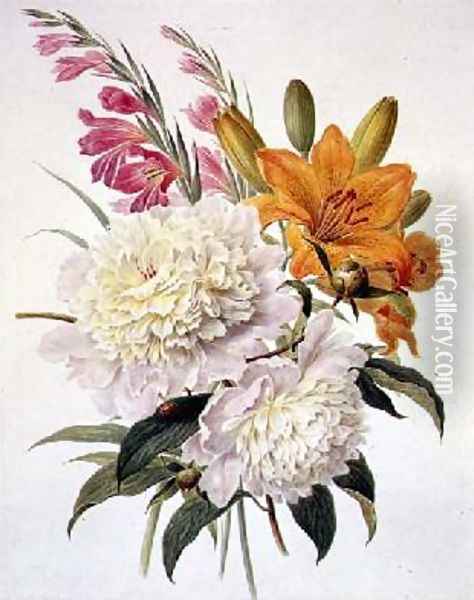 Sprays of Gladioli Peonies and Lilium Bulbiferum Oil Painting - Henriette Gertruide Knip