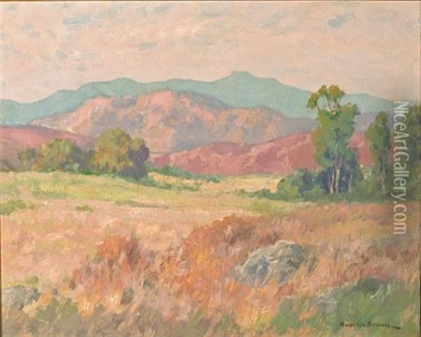 Hills Of Summer Radiance Oil Painting - Maurice Braun