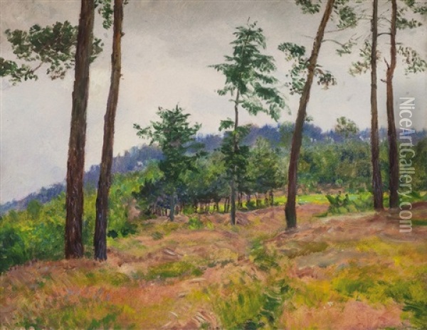 Na Kraji Lesa Oil Painting - Frantisek Kavan