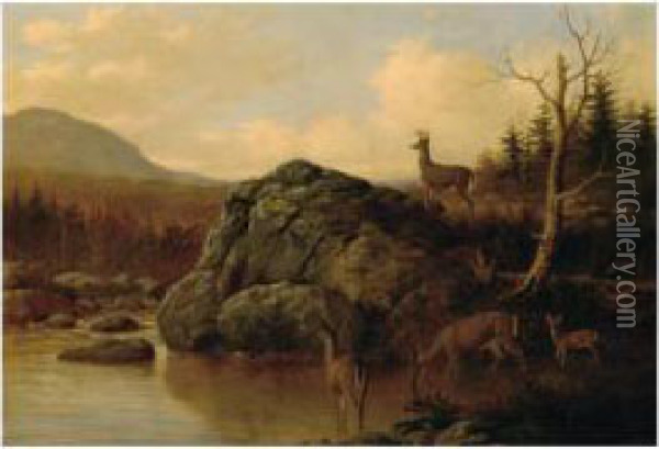 Deer In The Adirondacks Oil Painting - Thomas Hewes Hinckley