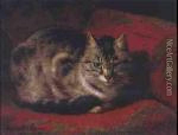 Tabby On A Red Settee Oil Painting - Henriette Ronner-Knip