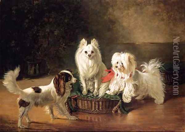A Toy Spaniel, a Pomeranian and a Maltese Terrier at a Basket Oil Painting - Johann Friedrich Wilhelm Wegener