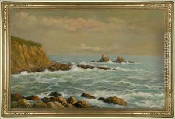 Coastal Seascape Oil Painting - Andreas Roth