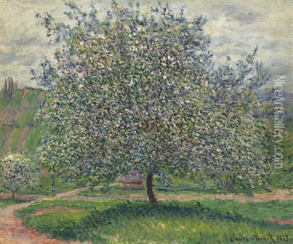 Le Pommier Oil Painting - Claude Monet