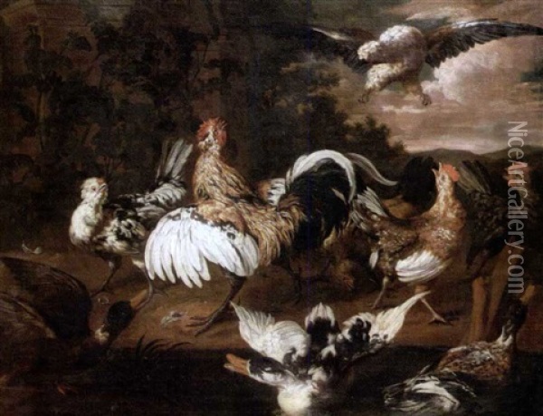 Gallos Y Patos Oil Painting - David de Coninck