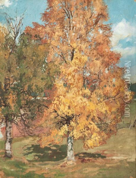 Autumn Birches Oil Painting - Antti Faven