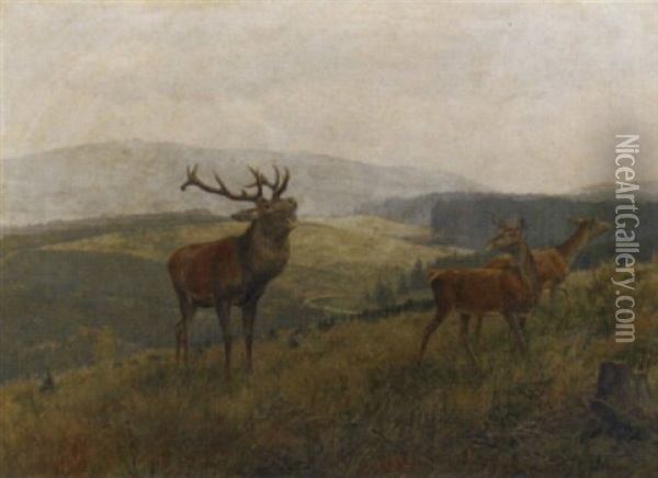 The Noble Stag Oil Painting - Carl Zimmermann
