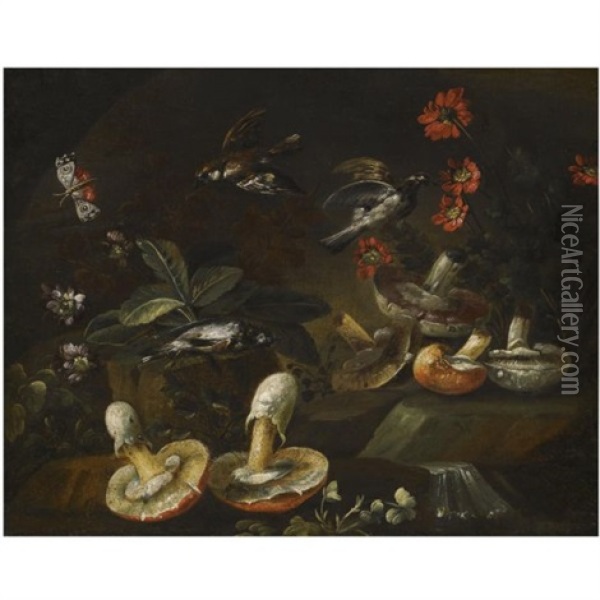 A Forest Floor Still Life With Mushrooms, Flowers, Birds And A Butterfly Oil Painting - Bartolommeo Bimbi