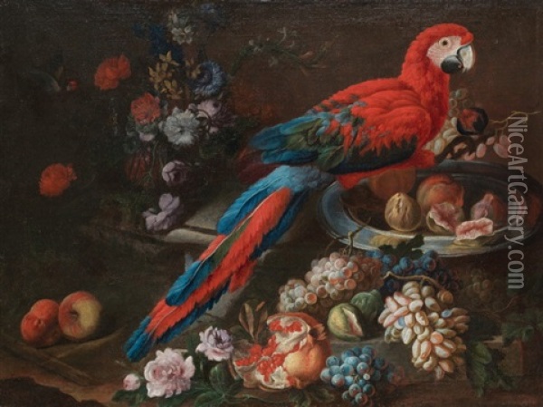 Stillleben Mit Papagei Und Fruchten Oil Painting - Giovanni Paolo Castelli (lo Spadino)