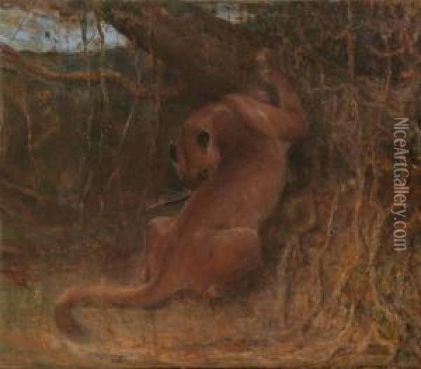 Puma In Jungle Oil Painting - John Macallan Swan