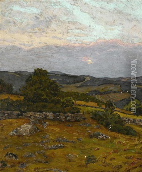 Lightfield Hills Oil Painting - Ben Foster