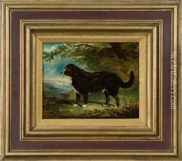 Portrait Of A Herding Dog Oil Painting - T.C Freeman