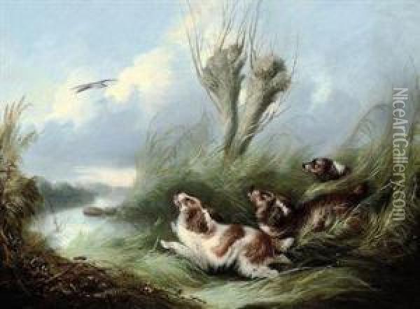 Spaniels Chasing A Mallard In Flight Oil Painting - George Armfield