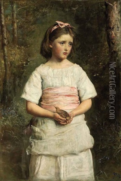 Dropped From The Nest Oil Painting - John Everett Millais