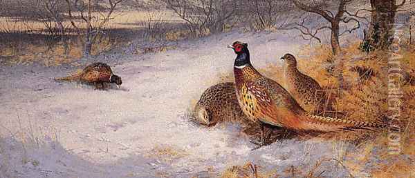 Pheasants in the Snow Oil Painting - Archibald Thorburn