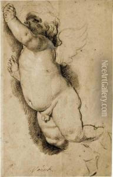 A Flying Putto Looking Up Oil Painting - Francois Duquesnoy