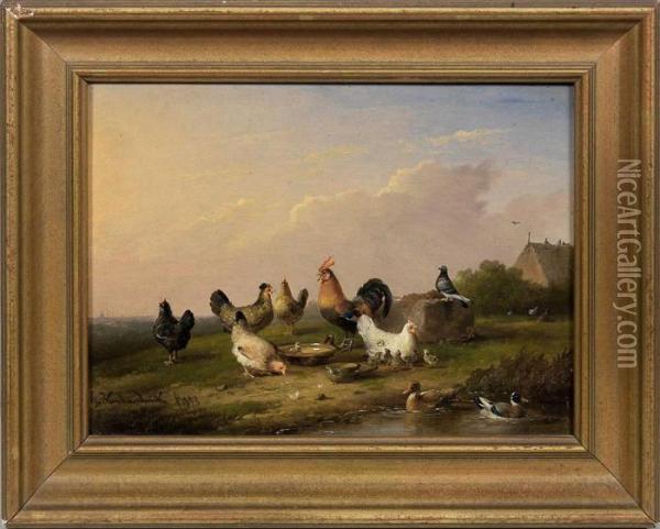Abendstimmung Am Weihermit Huhnerfamilie Und Enten Oil Painting - Franz van Severdonck