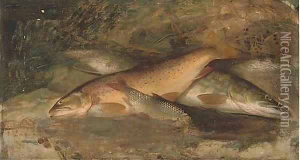 Rainbow trout, pike and perch Oil Painting - A. Roland Knight