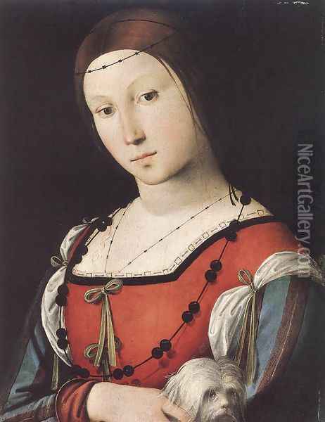 Portrait of a Lady with a Lap-dog c. 1500 Oil Painting - Lorenzo Costa