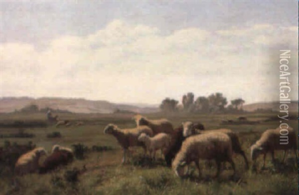 Weidende Schafe Oil Painting - Edouard-Louis-Auguste Metton