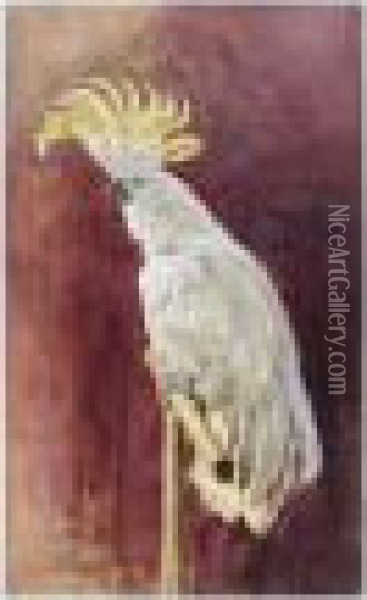 A Cockatoo Oil Painting - Robert Ponsonby Staples