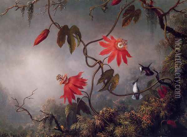 Passion Flowers And Hummingbirds Oil Painting - Martin Johnson Heade